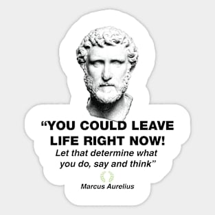 Marcus Aurelius, Chief Stoic Sticker